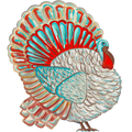 Traditional Turkey